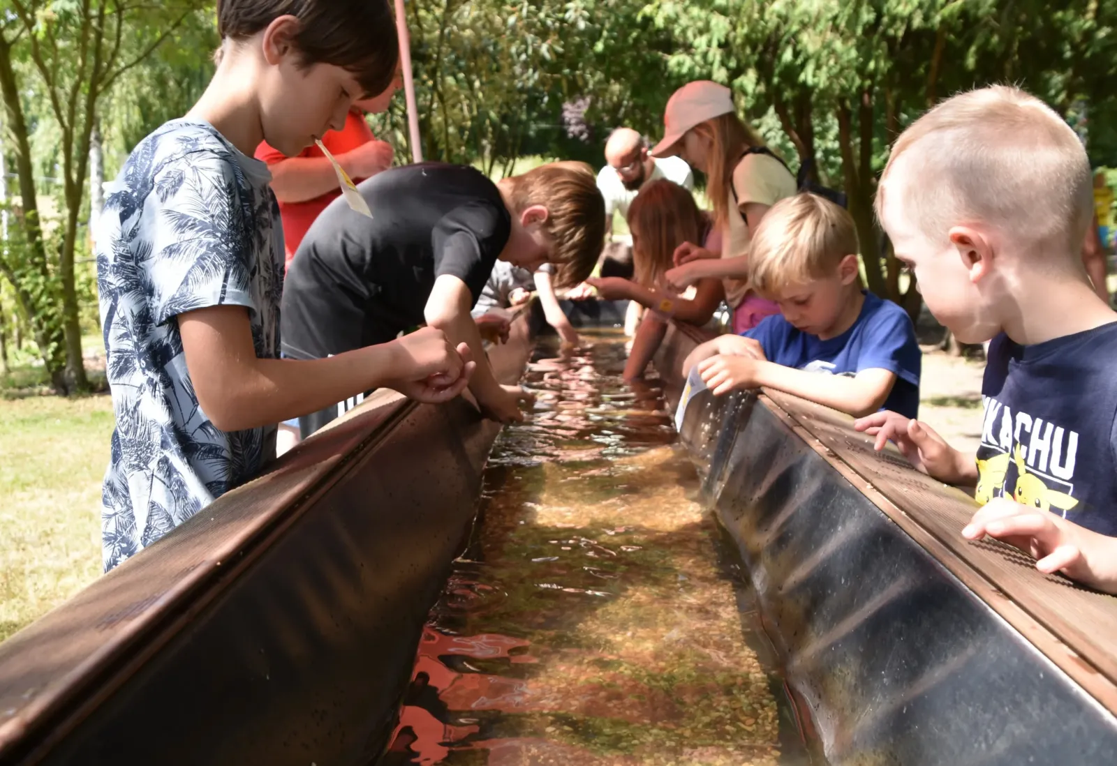 Nachtrag zum Sommerfest am 18.06.2025 im Naturgarten „Vergissmeinicht“